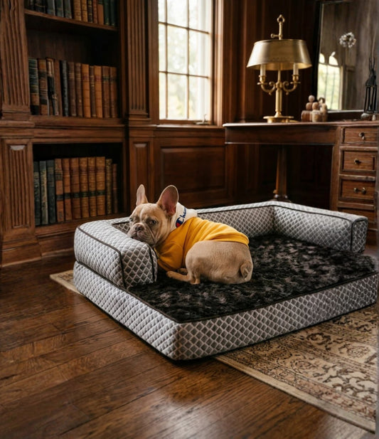 Pet Orthopedic Bed (Bolstered)