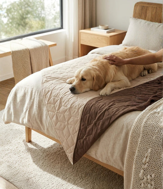 Couch Protector (Set of Two)