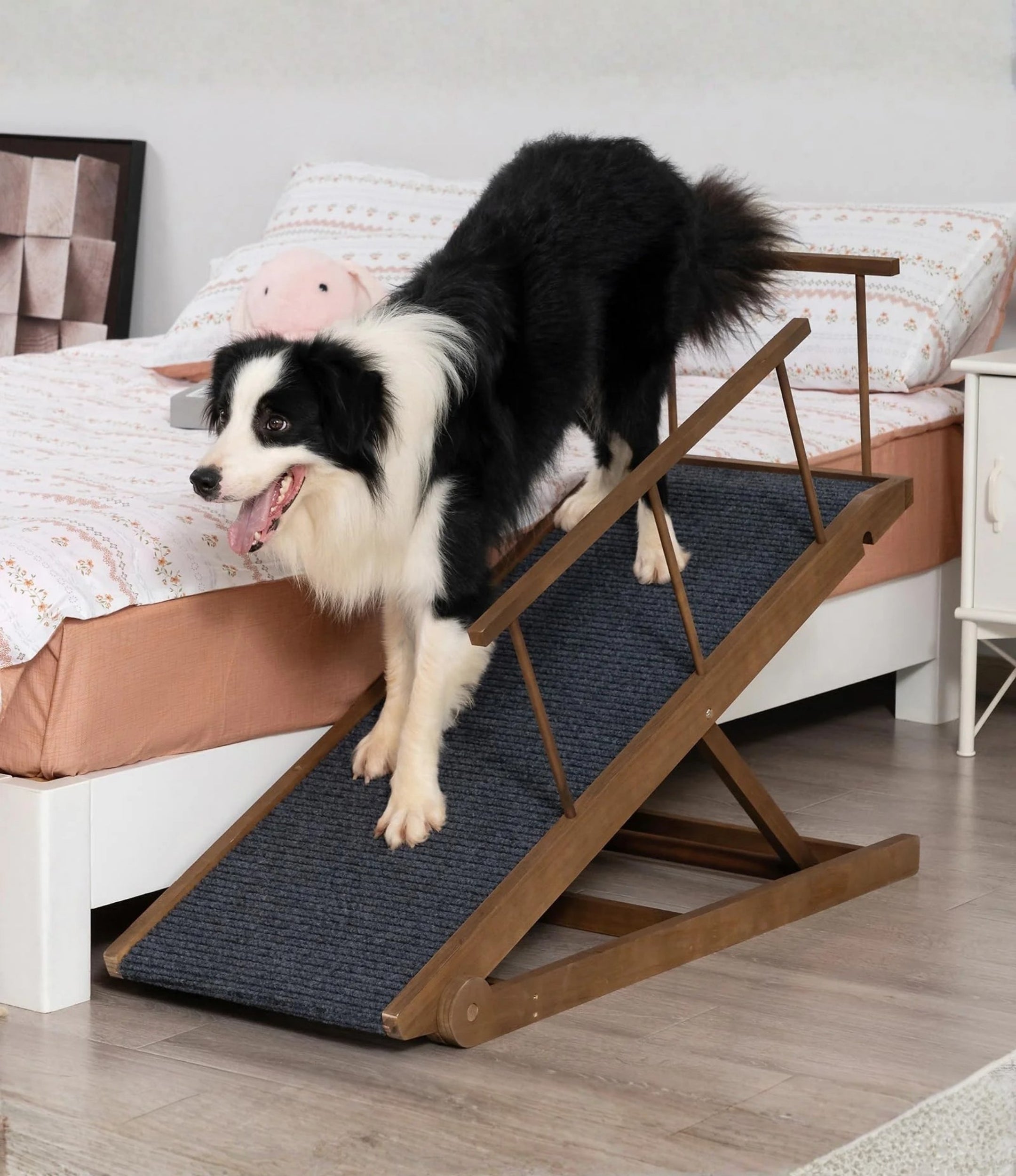 Pet Ramp
