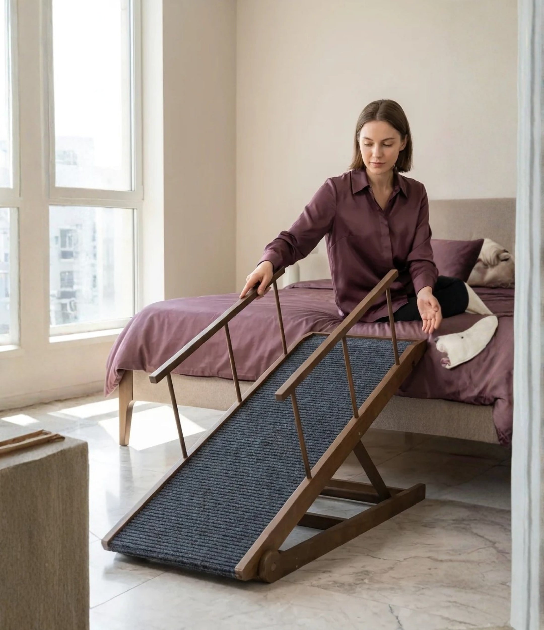 Pet Ramp