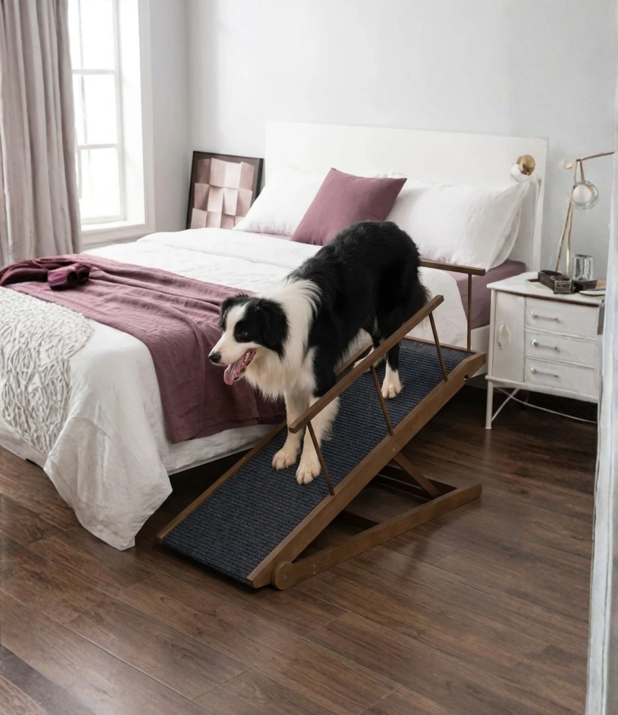 Pet Ramp