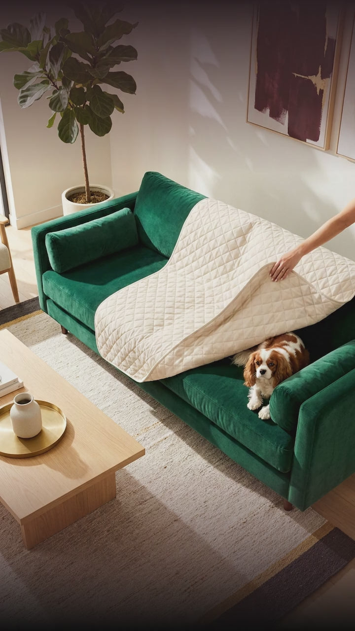 Couch Protector (Set of Two)